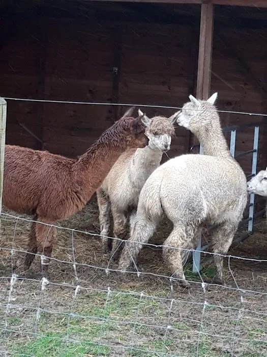Westpoint Farm Vets, Daventry Picture 10