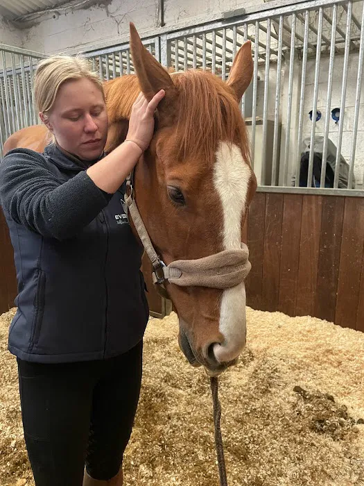Even Stride Veterinary Physiotherapy Picture 1