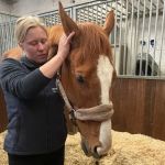 Even Stride Veterinary Physiotherapy