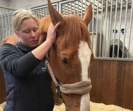 Even Stride Veterinary Physiotherapy
