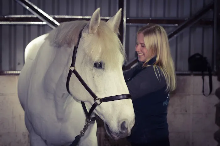 Even Stride Veterinary Physiotherapy Picture 8