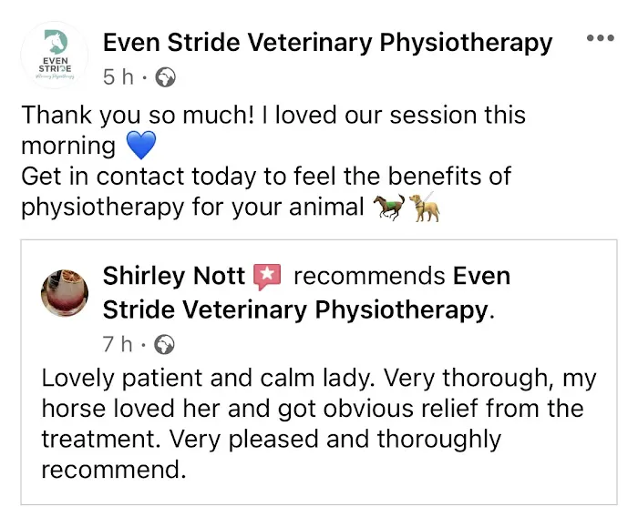 Even Stride Veterinary Physiotherapy Picture 9