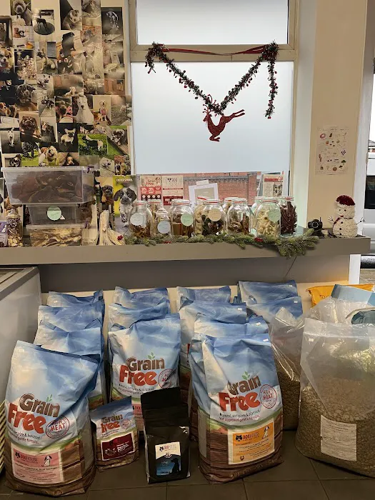 Thedoghouse Picture 2