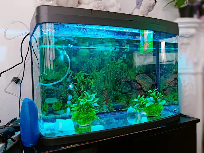 Pet Care Oldham Picture 1