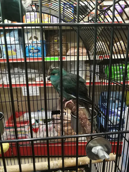 Pet Care Oldham Picture 3