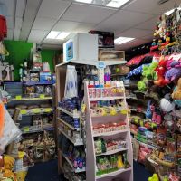 Living World Pets ico