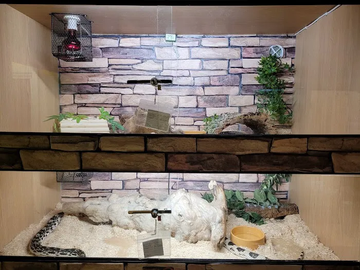 Living World Pets Picture 5