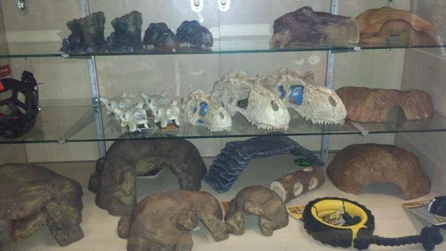 Living World Pets Picture 10