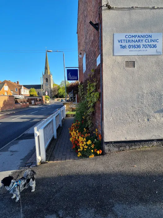 Companion Veterinary Clinic Picture 1