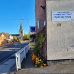 Companion Veterinary Clinic