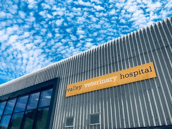 Valley Veterinary Hospital Picture 1
