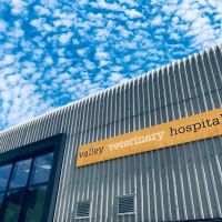 Valley Veterinary Hospital ico