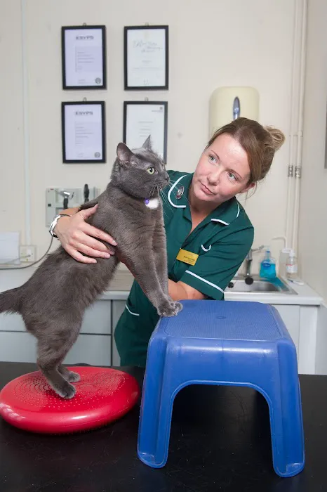 Valley Veterinary Hospital Picture 10