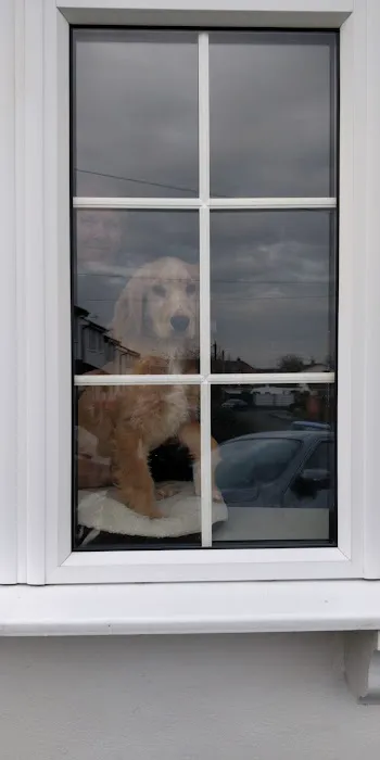 Buttercross Veterinary Centre - Cotgrave Picture 5