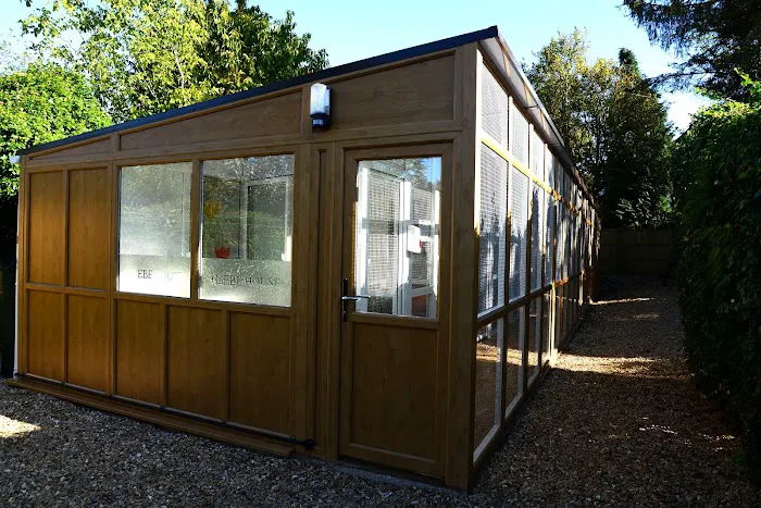 Glebe House Cattery Picture 2