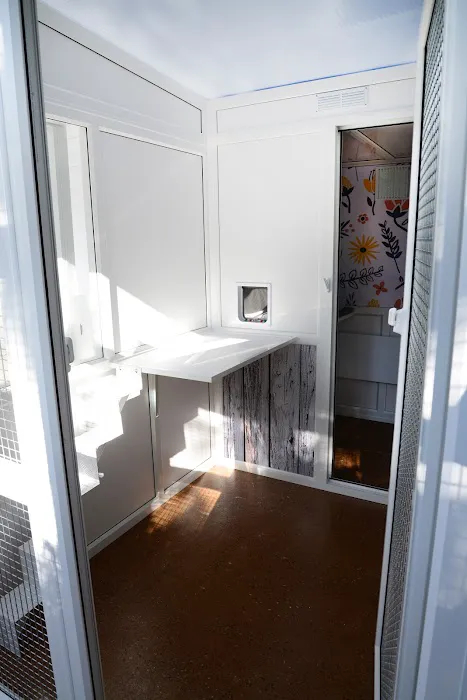 Glebe House Cattery Picture 3