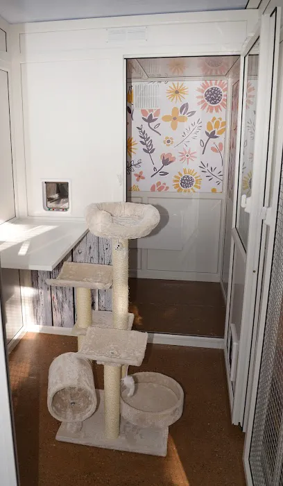 Glebe House Cattery Picture 7