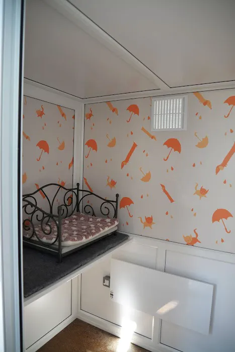 Glebe House Cattery Picture 10