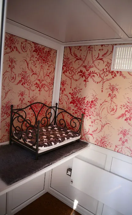 Glebe House Cattery Picture 9