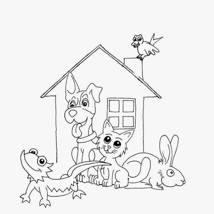 All Creatures Veterinary Centre Picture 3
