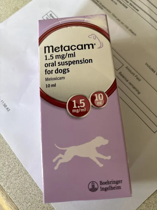 Vets for Pets - Gamston Picture 7