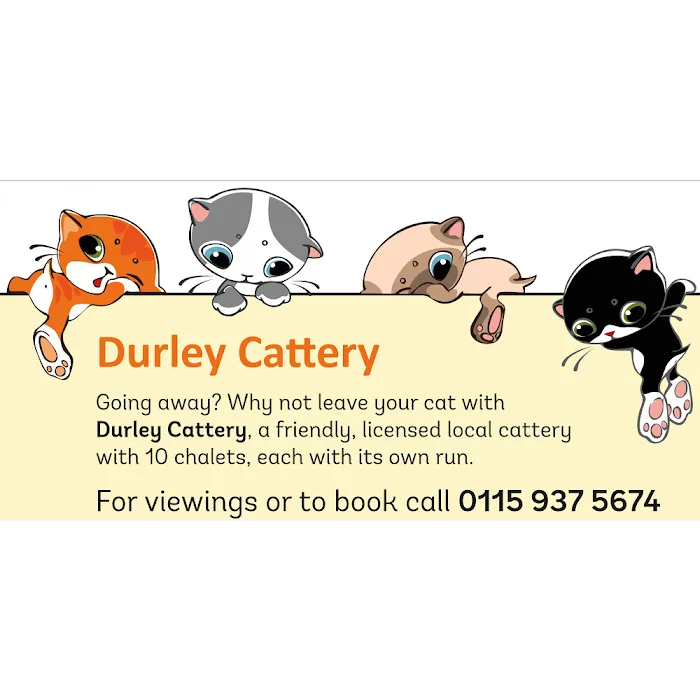 Durley Cattery Picture 1