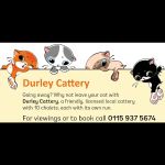 Durley Cattery