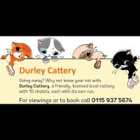 Durley Cattery ico