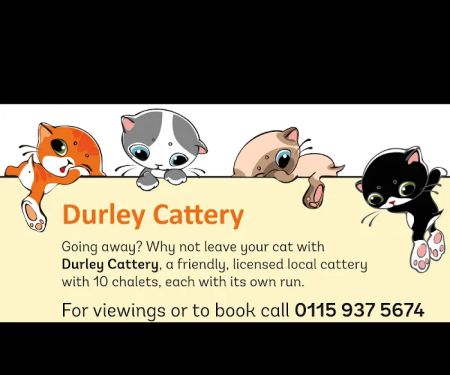 Durley Cattery