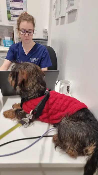 Vets for Pets Nottingham Netherfield Picture 6