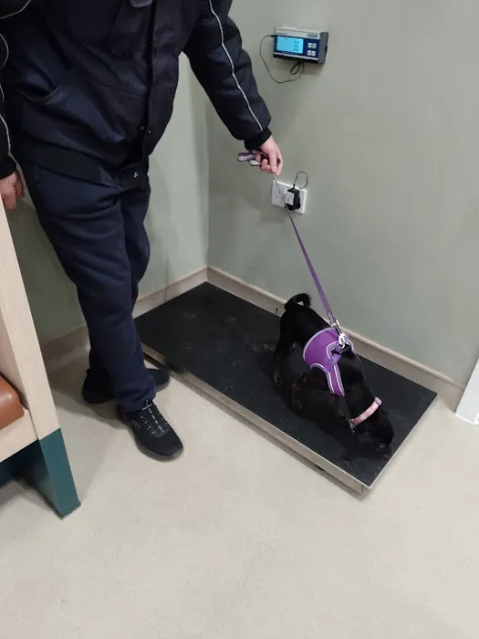 Vets for Pets Nottingham Netherfield Picture 10