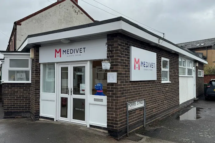 Medivet Netherfield Picture 3