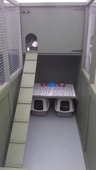 Kings Cattery Picture 2