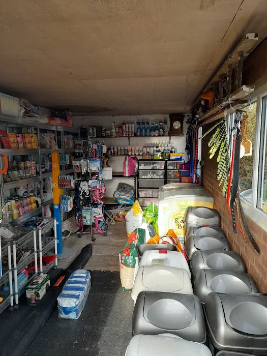 The Pet Store Picture 1