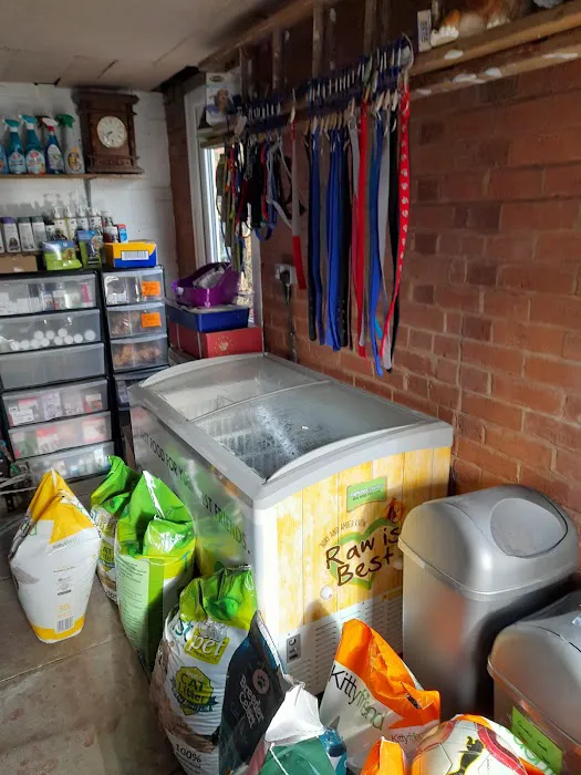 The Pet Store Picture 4