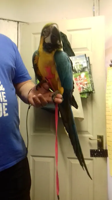 The Pet Store Picture 6