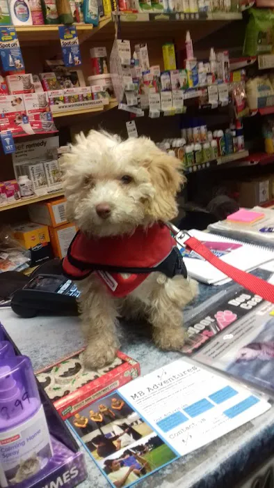 The Pet Store Picture 8