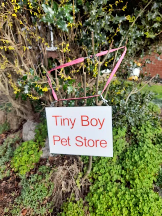 The Pet Store Picture 7