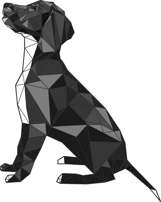 Fraser Veterinary Physiotherapy Picture 4