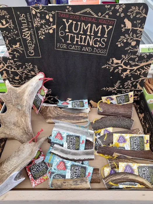 Mutt & Moggy Picture 7