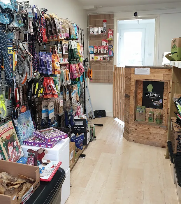 Mutt & Moggy Picture 8