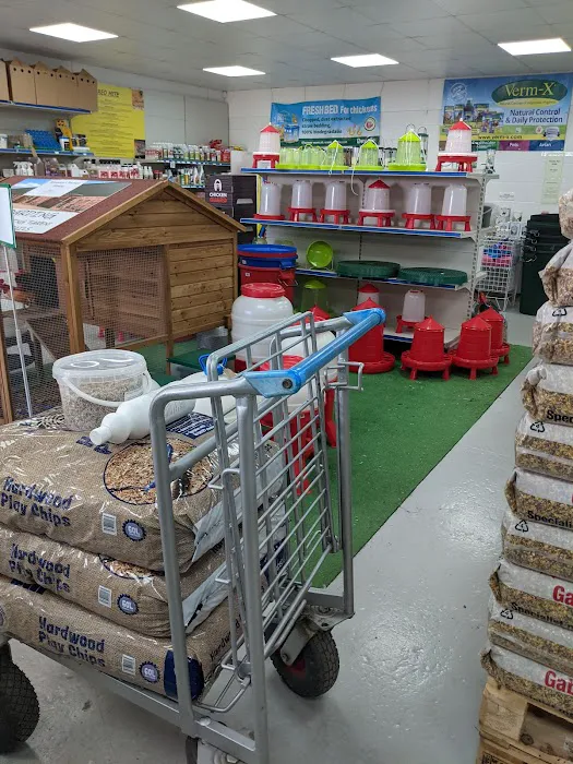 Meadowview Chickens Picture 2