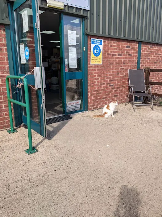 Meadowview Chickens Picture 1