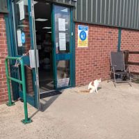 Meadowview Chickens ico