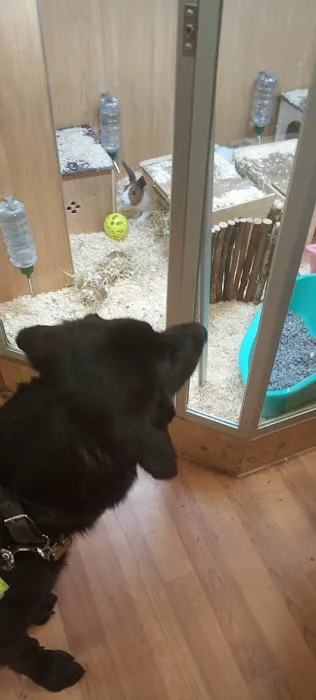 Just For Pets Nuneaton Picture 3