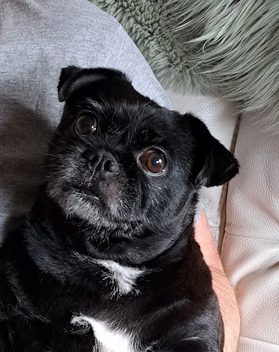 Just For Pets Nuneaton Picture 4