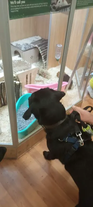 Just For Pets Nuneaton Picture 5