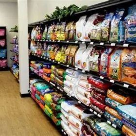 Pet Shop Near Me