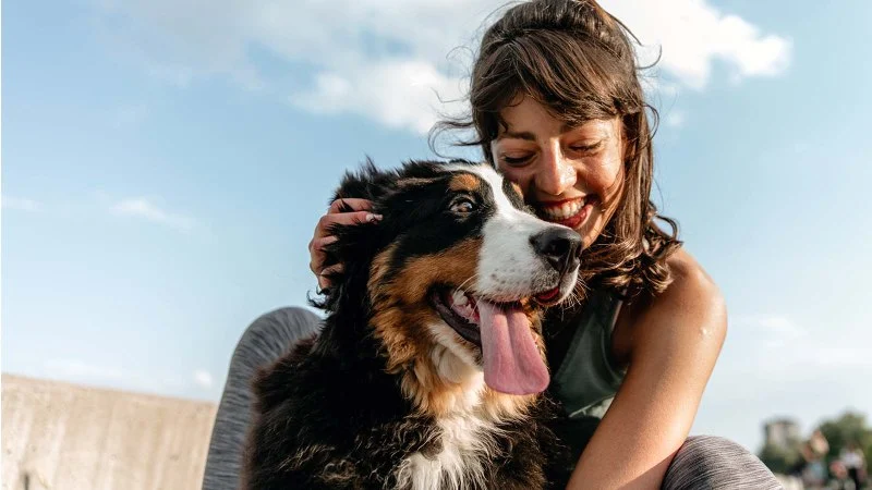 What Every UK Pet Owner Should Know About Parasite Control