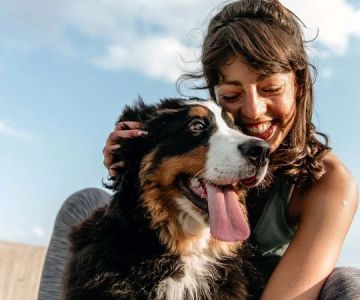 What Every UK Pet Owner Should Know About Parasite Control